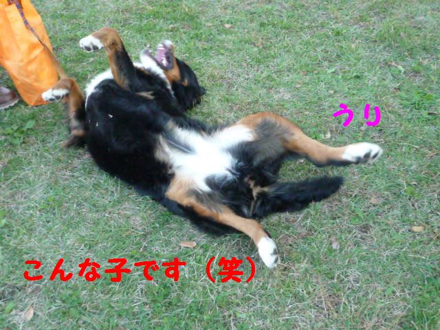 a0108146_23311359.jpg