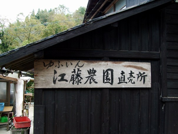 d0023346_1551395.jpg