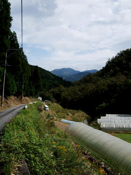 d0023346_1632427.jpg