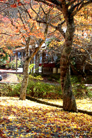 c0127748_1226183.jpg