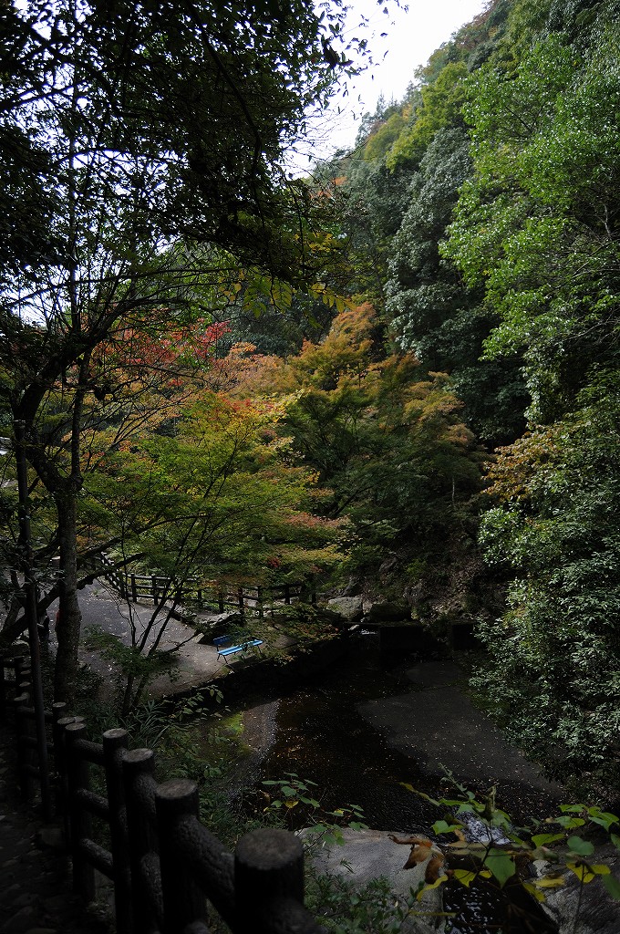 2008/11/03(月)　府中　三郎の滝_f0137351_854384.jpg