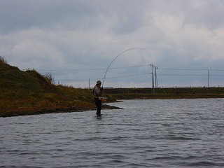 c0097652_1759934.jpg