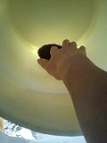d0007957_21473629.jpg