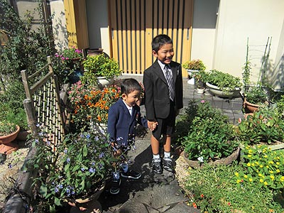 本日の花　七五三の写真_c0033858_22262089.jpg