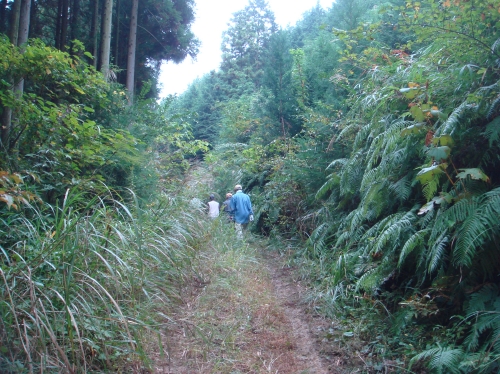 ヒノキ丸太原木調達・・・臨時活動日_c0108460_15164384.jpg