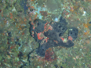f0164662_18222383.jpg