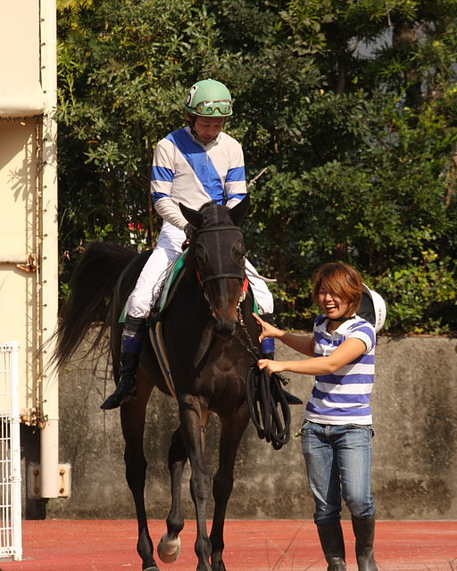 ゴールデンメガミ、高知競馬初勝利～_a0077663_21454067.jpg