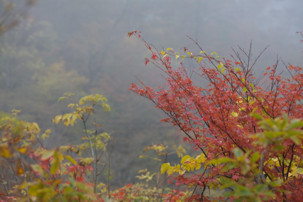 c0108863_2156928.jpg