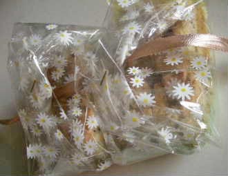 e0086864_2117289.jpg