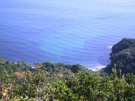 c0171368_22444418.jpg