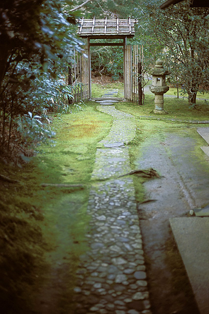 いま傳次郎。で、なぜか嵐山・大河内山荘 2002年11月_d0123571_022551.jpg