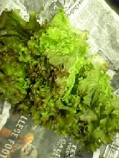 c0065676_181476.jpg