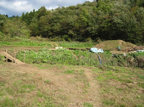 a0087378_5142438.jpg