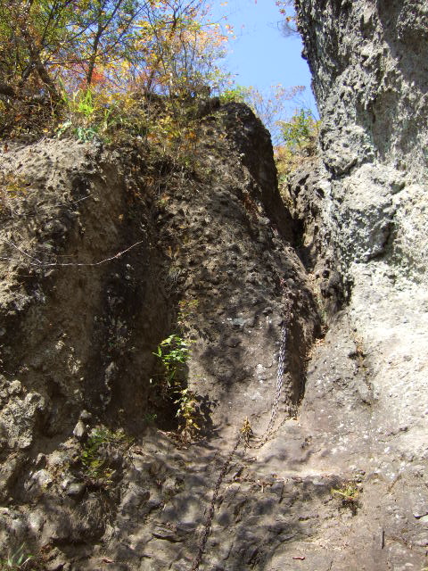 a0094280_1492574.jpg