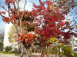 f0183480_13421258.jpg