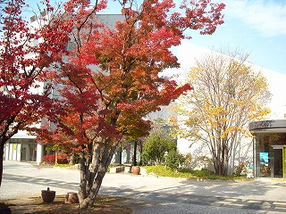 f0183480_13422316.jpg
