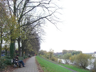 f0169885_6431443.jpg