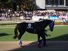 Emperor Cup Day_f0069890_013752.jpg