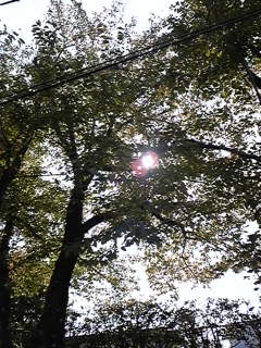 f0017897_12305344.jpg