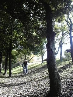 f0017897_12412513.jpg