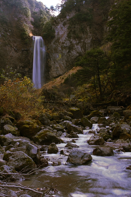 紅葉の平湯大滝_b0116600_2391456.jpg