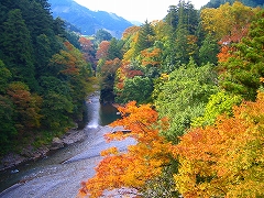 多摩ウォーキング_a0036808_15275654.jpg