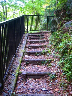 多摩ウォーキング_a0036808_15311047.jpg