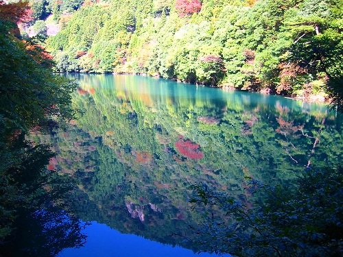 多摩ウォーキング_a0036808_1546229.jpg
