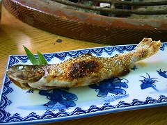 多摩ウォーキング_a0036808_15475579.jpg