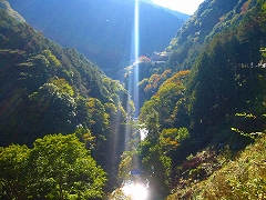 多摩ウォーキング_a0036808_15533829.jpg
