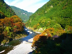 多摩ウォーキング_a0036808_15573378.jpg