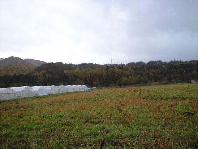 d0099708_8453627.jpg