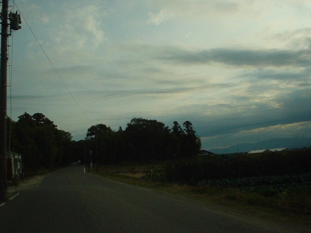 朝の道・・_d0039111_11205448.jpg