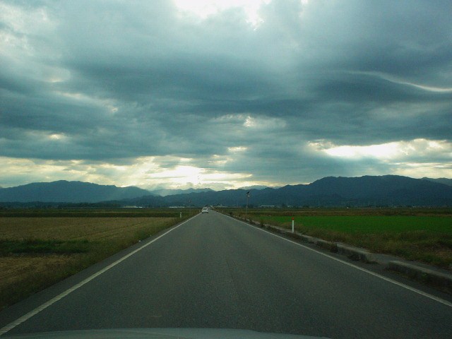 朝の道・・_d0039111_11212952.jpg