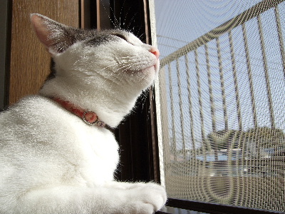 c0006312_17521625.jpg
