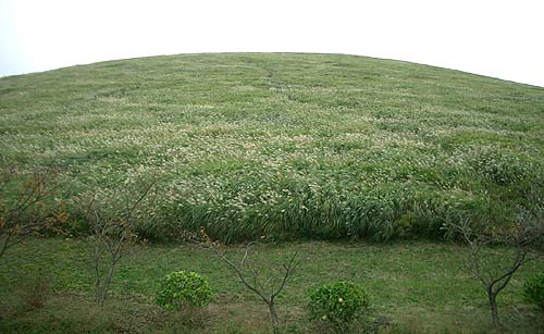 e0034012_0218100.jpg