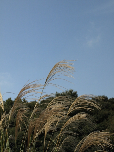 e0083212_1424062.jpg
