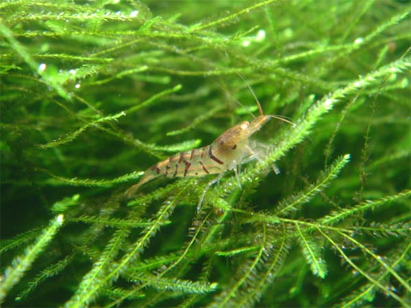 f0172612_2242742.jpg