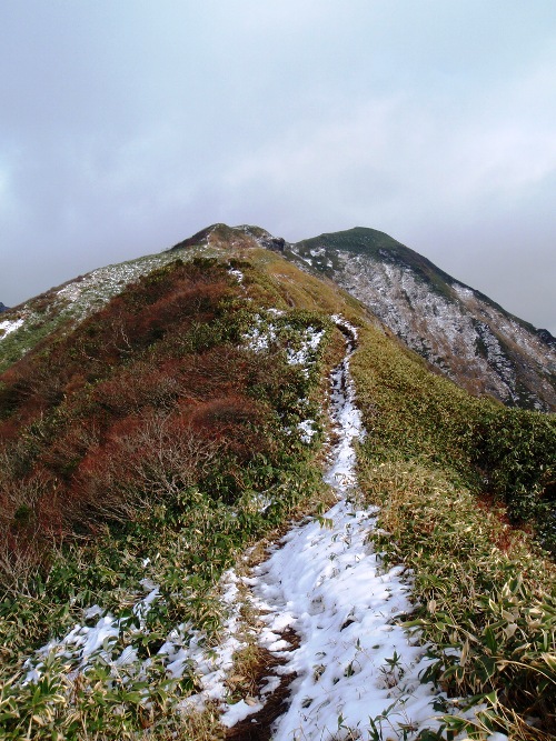 茂倉岳~谷川岳縦走1 晴天の茂倉尾根_c0177814_11293899.jpg
