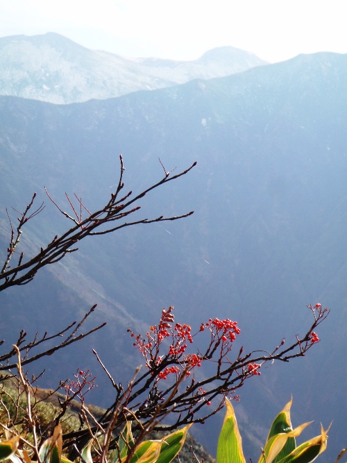 茂倉岳~谷川岳縦走1 晴天の茂倉尾根_c0177814_15213827.jpg