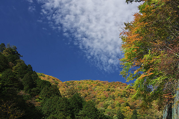 b0010915_20474128.jpg
