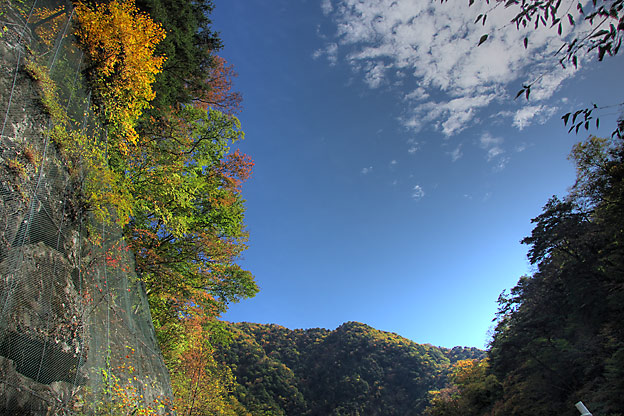 b0010915_20481668.jpg