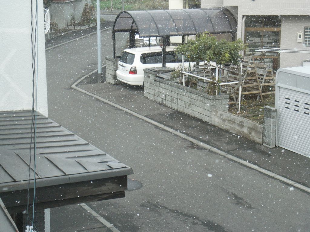 初雪_c0025115_905232.jpg