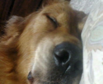 e0140616_20104030.jpg