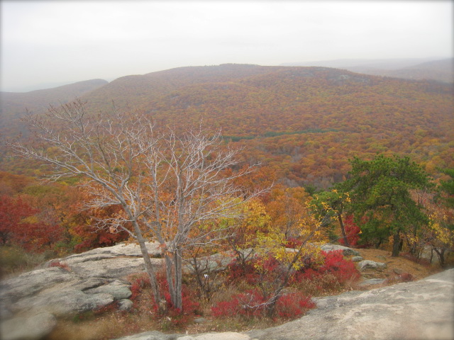 Bear Mountain の紅葉_c0120817_12371099.jpg