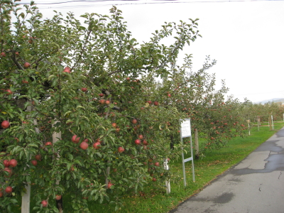 b0147224_0164770.jpg