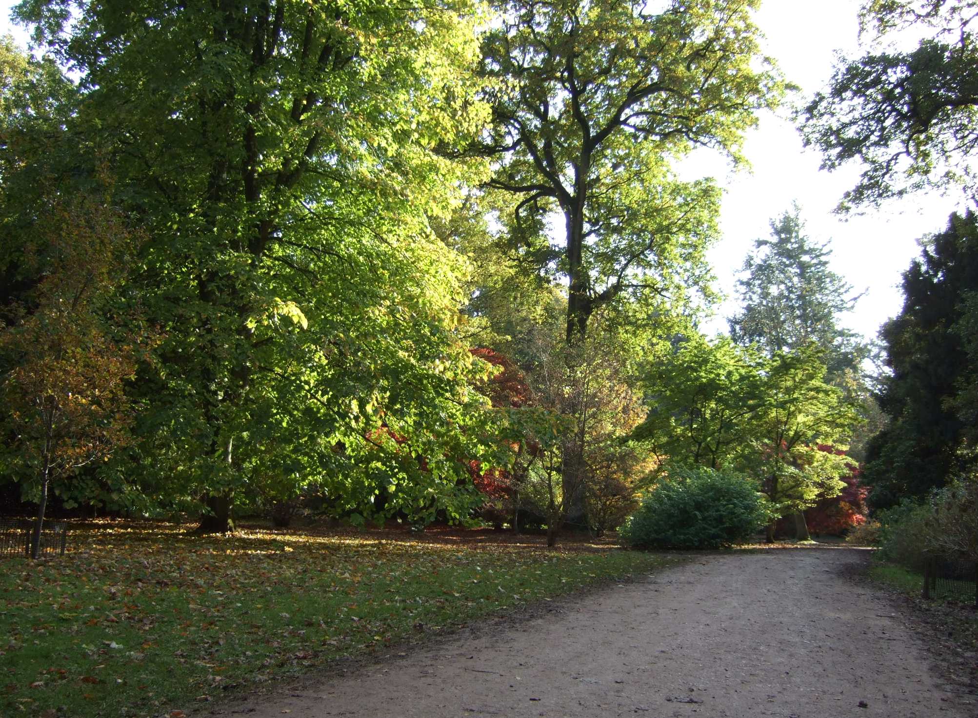 c0120526_6262345.jpg
