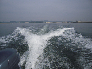d0017632_20121330.jpg