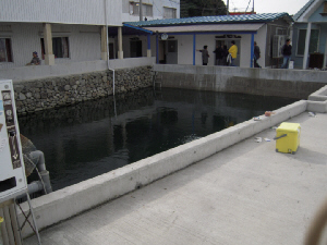 d0017632_20401999.jpg
