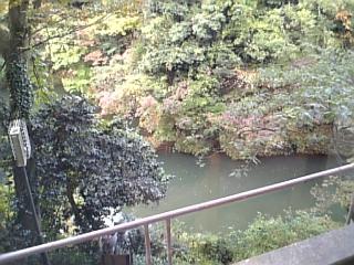 e0145332_21534028.jpg